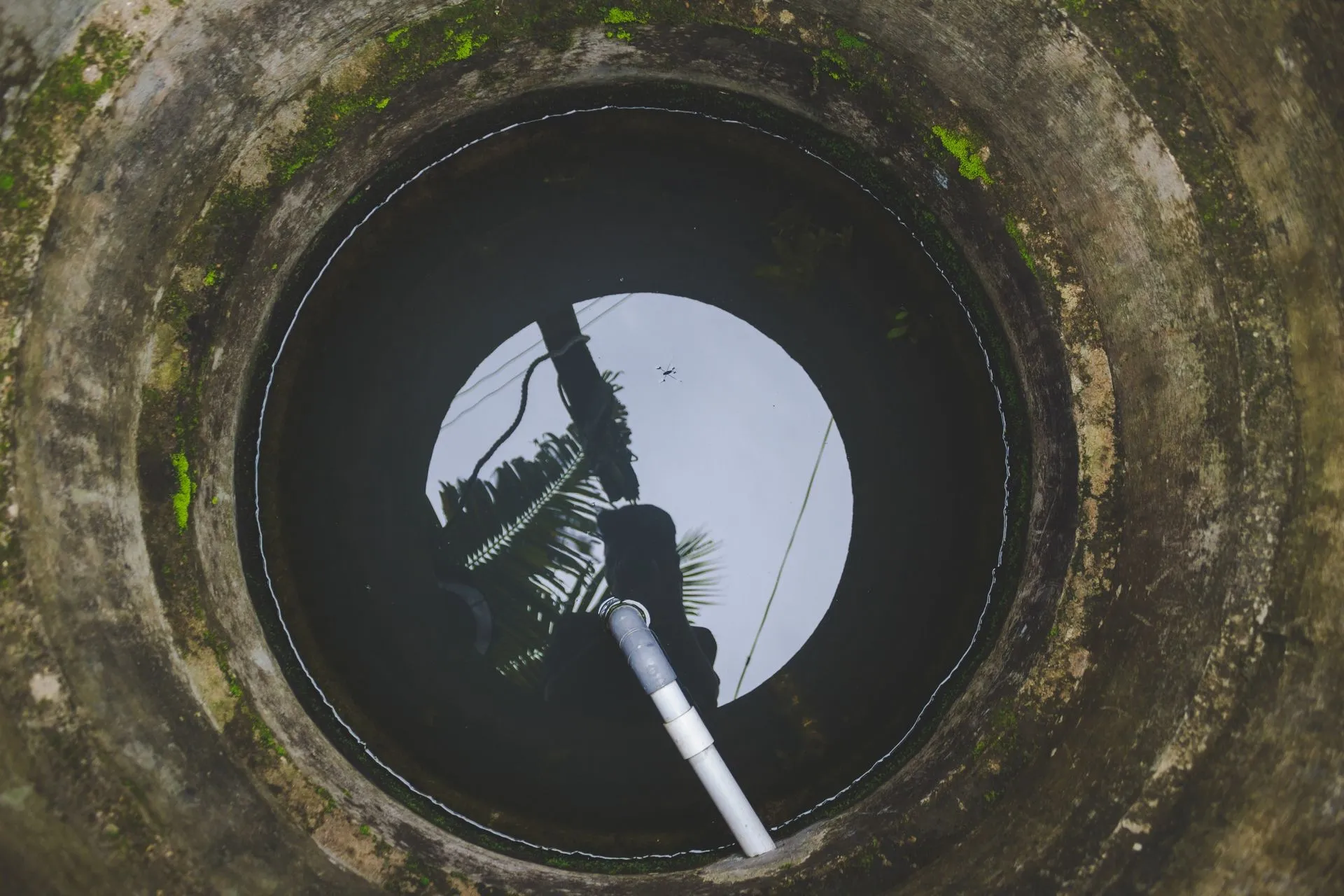 Drains & Clogs in Clayton: Why Regular Maintenance Saves You Money